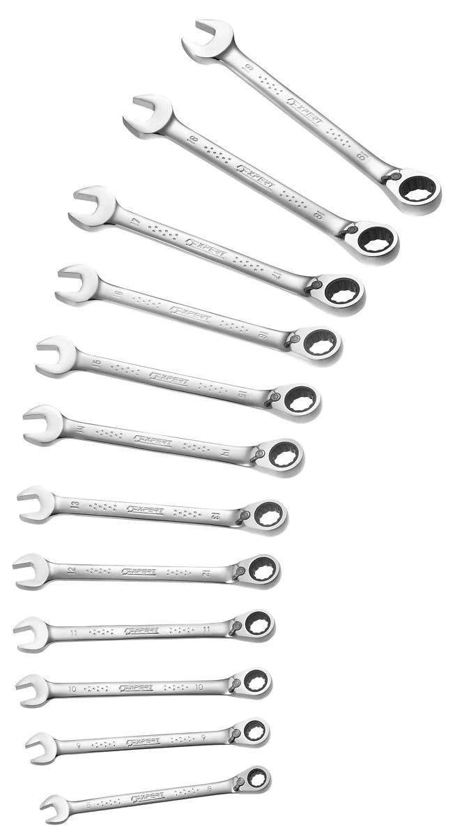 Expert By Facom E111106 12 Piece Metric Ratcheting Combination Spanner Wrench Set 8-19mm 2 Expert By Facom E111106 12 Piece Metric Ratcheting Combination Spanner Wrench Set 8-19mm - Image 2